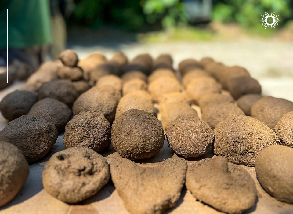 The Böëna-supported EM Spheres Project