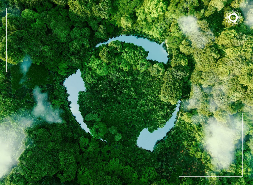 Böëna debuts its Company-wide Costa Rica Sustainability Policy