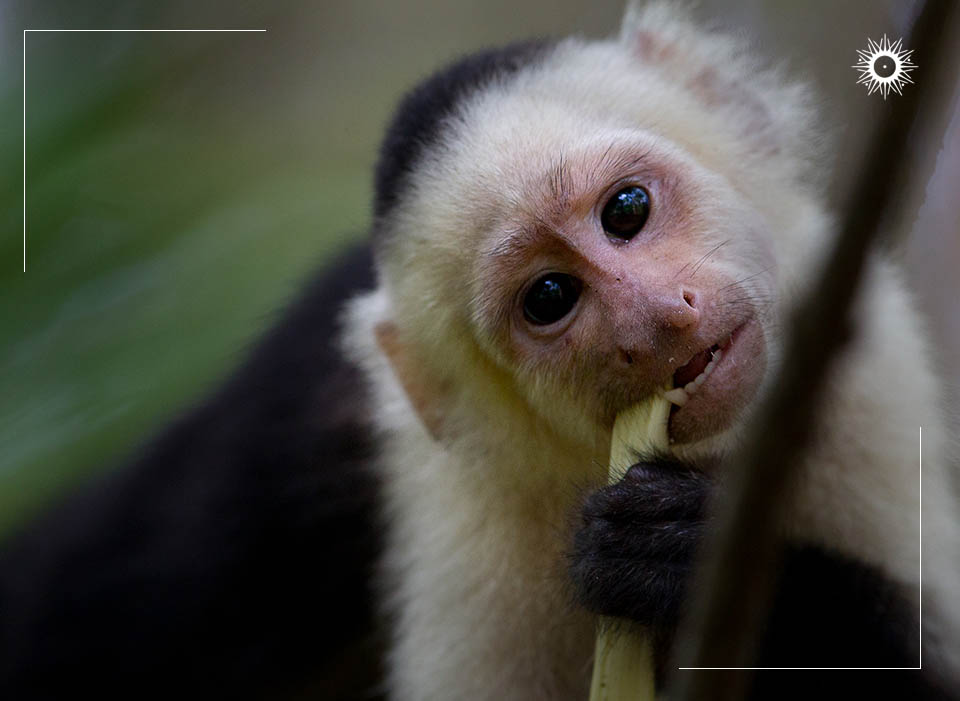 Böëna Costa Rica Packages