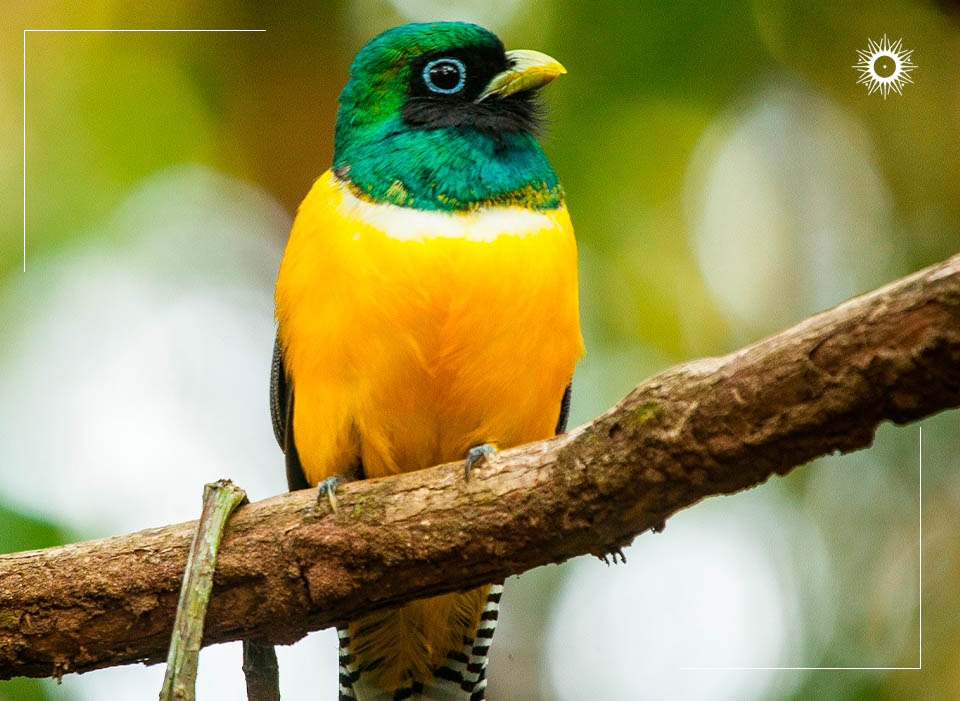 Böëna Costa Rica Packages