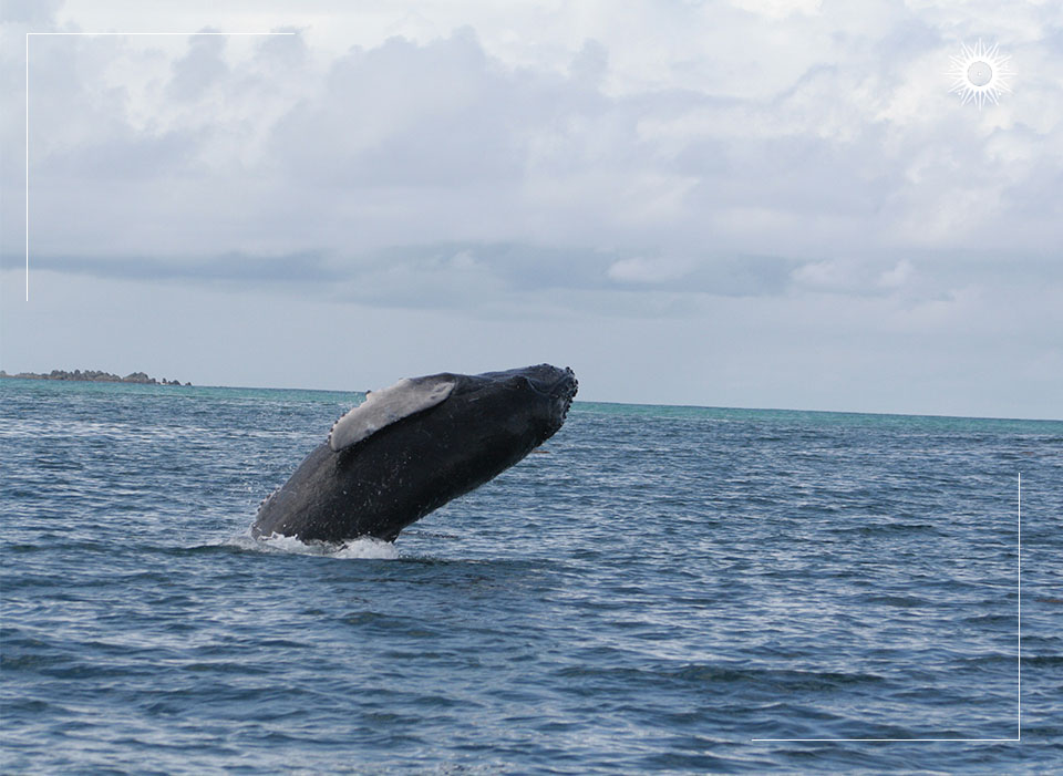 Böëna Costa Rica Packages