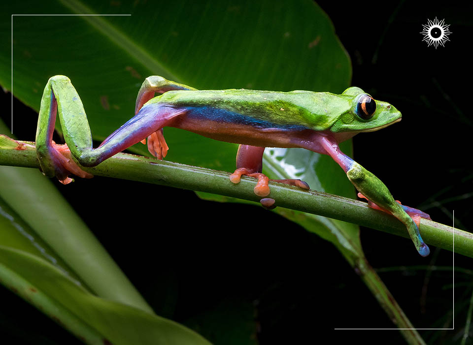 Böëna Costa Rica Packages