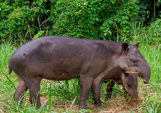 Lapa Rios Experiences