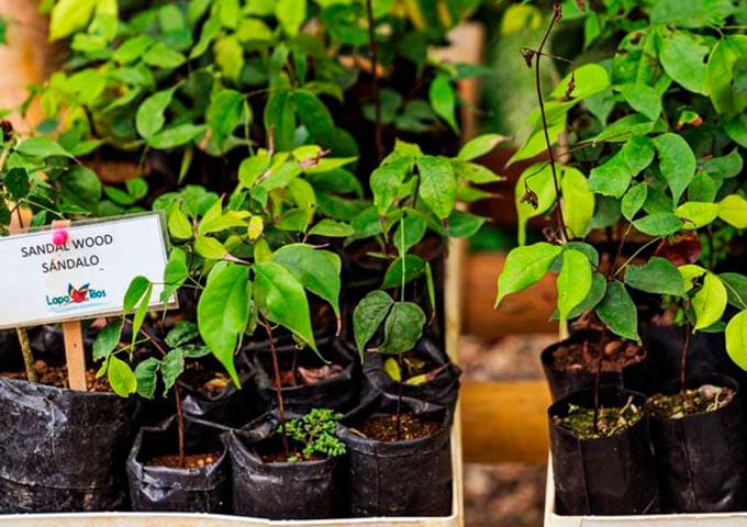 Lapa Rios Experiences