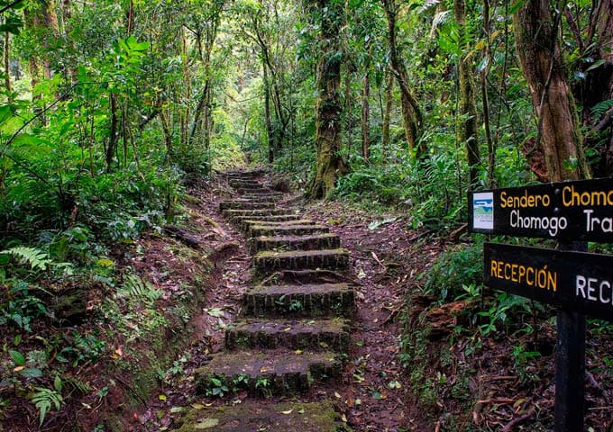 Monteverde Experiences