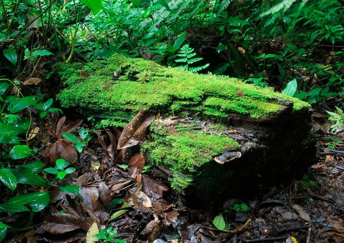 Monteverde Experiences