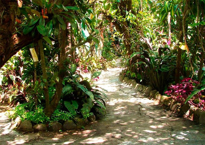 Monteverde Experiences