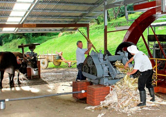 Monteverde Experiences