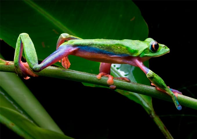 Monteverde Experiences