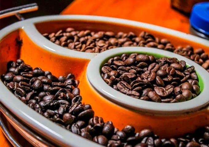 Monteverde Experiences