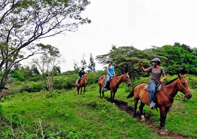 Monteverde Experiences
