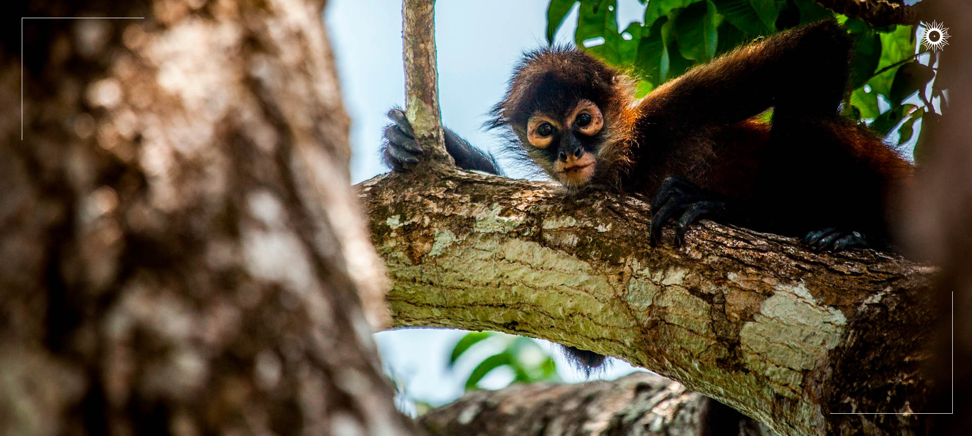 Böëna Costa Rica Packages