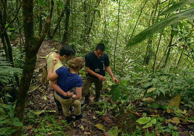 Pacuare Lodge Experiences