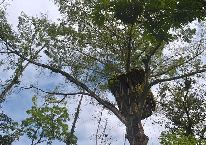 Pacuare Lodge Experiences