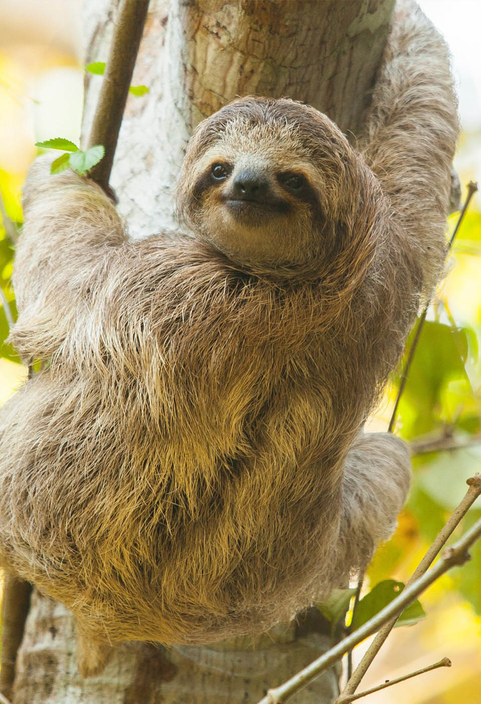 Costa Rica - Böëna Lodges