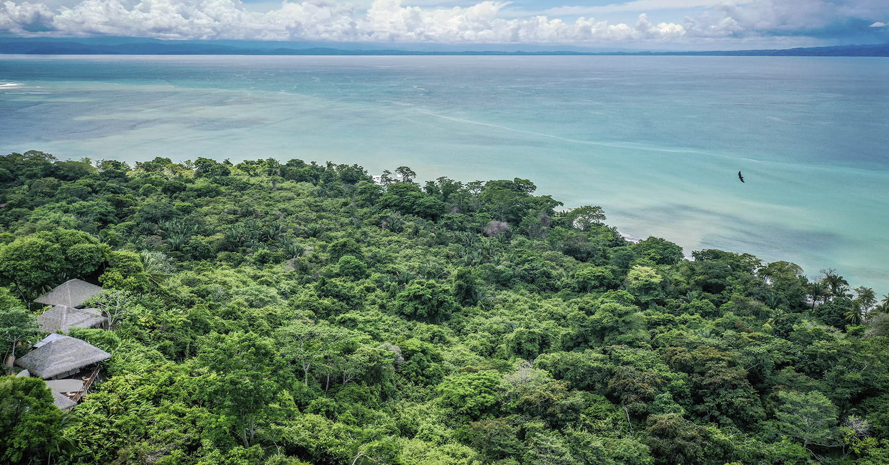 Böëna - Lapa Rios Lodge